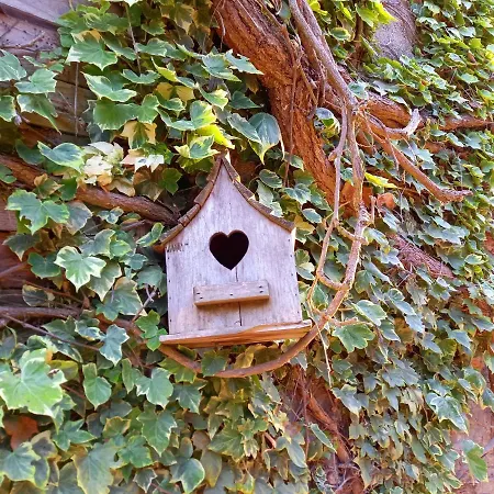Bed and breakfast Chambres D'hotes Le P'tit Angelus De Barbizon